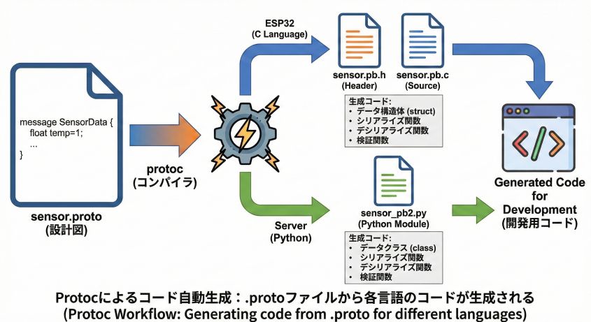 Protocによるコード自動生成：.protoファイルから各言語のコードが生成される