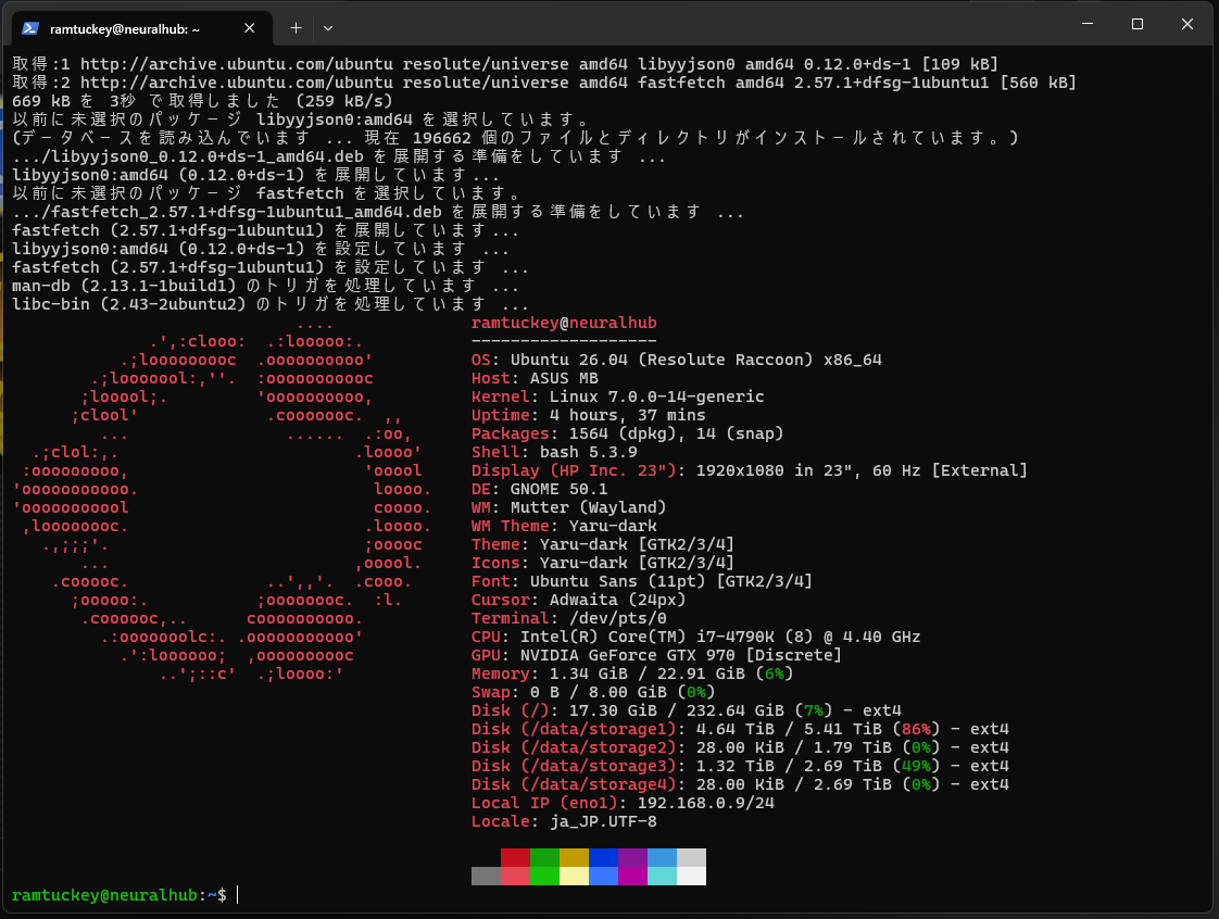 fastfetch の出力。アライグマのアスキーアートとシステム情報が表示される